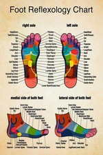 Reflexology Foot Massage Chart